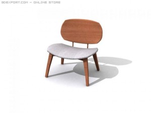 fine3dvol03 Modelo 3D