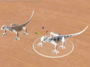 lizard 3D Model