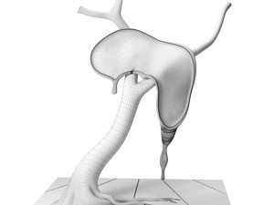 profile of time by salvador dali 3D Model