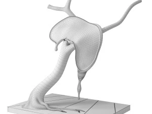 perfil del tiempo de salvador dali Modelo 3D