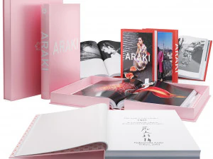 book set 3 3D Model