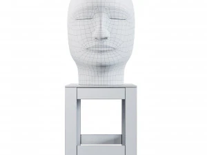 scultura della testa di Jun Kaneko Modello 3D