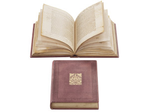 Decorative Books Collection set 5 Modelo 3D