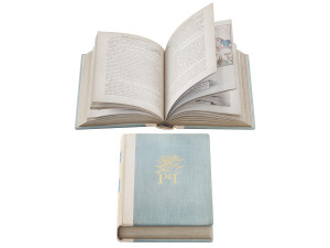 Decorative Books Collection set 5 Modelo 3D