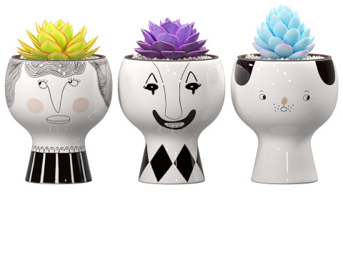 Happy Pots 2 3D Model