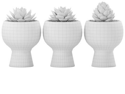Happy Pots 2 3D Model
