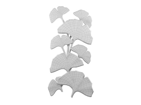 Ginkgo decorative wall sculpture composition 3D Model