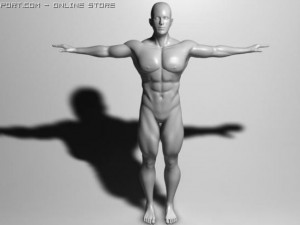 high quality muscular male 3Dモデル