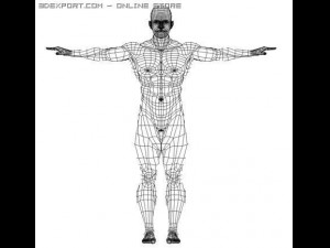 high quality muscular male 3D 模型