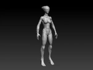 brwmn zbrush sculpt Model 3D