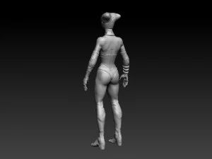 brwmn zbrush sculpt 3D Model