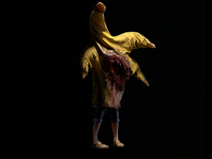 chd1patrick 3D Model