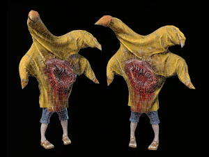 chd1patrick 3D Model