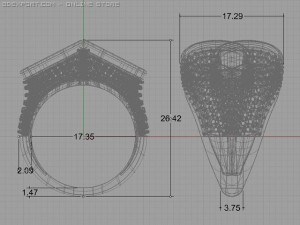 fancy ring Modello 3D