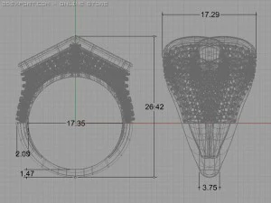 fancy ring 3D Model