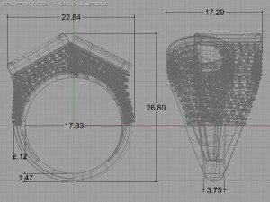 fancy ring 3Dモデル