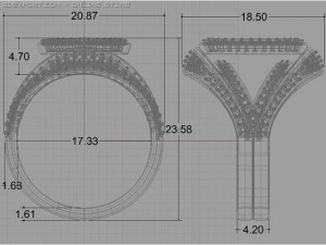 fancy ring 3D Model