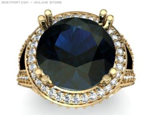 멋진 반지 3D 모델