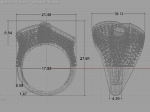fancy ring 3D Модель