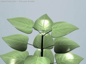 plant 3D 모델