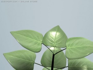 plant 3D 模型