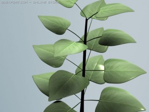 plant 3D 模型