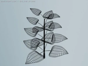 植物 3Dモデル