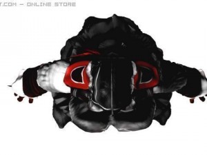 aquila Model 3D