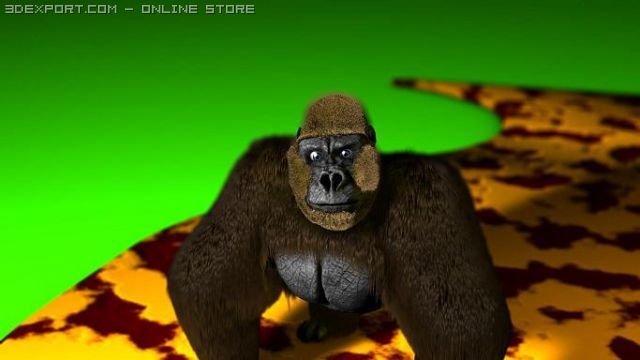 gorilla 3D मॉडल .c4d .max .obj .3ds .fbx .stl .blend 