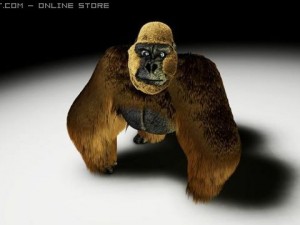 gorilla 3D मॉडल