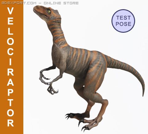 velociraptor Model 3D .c4d .max .obj .3ds .fbx .stl .blend 