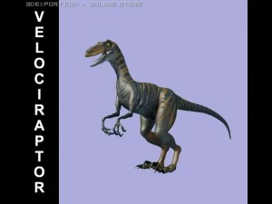 velociraptor 3D Model