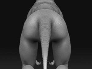 velociraptor Model 3D