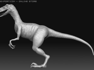 velociraptor Model 3D