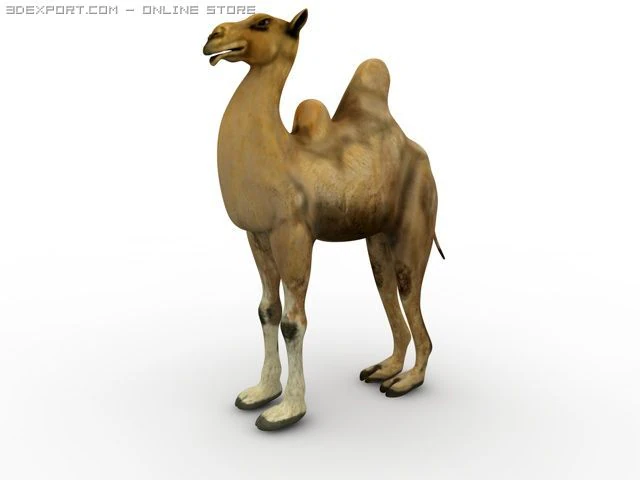 bactrian camel 3D Model .c4d .max .obj .3ds .fbx .stl .blend 