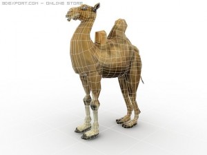 bactrian camel 3D Model
