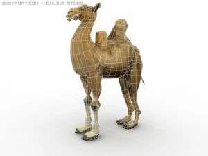 bactrian camel 3D Model