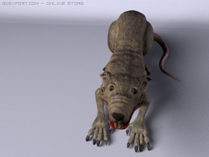 rat 3D मॉडल
