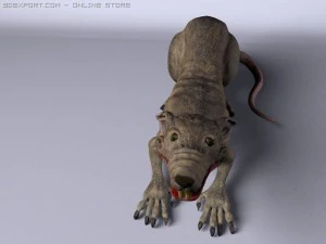 rat 3D Model