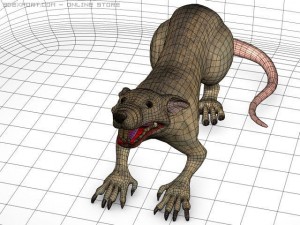 rat 3D मॉडल