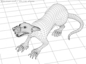 rat 3D मॉडल