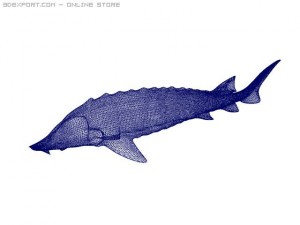 asipencer 3D Model