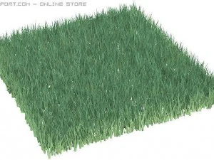 summer cottage 3D Model