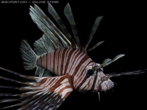 lionfish Modelo 3D