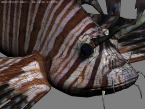 lionfish 3D Model