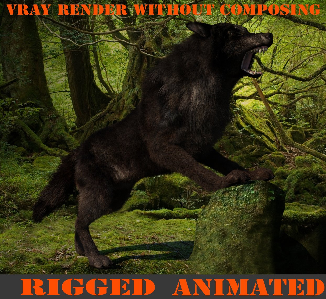 Wolf 3d Model In Wildlife 3dexport