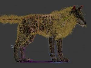 wolf 3D Model