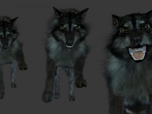 wolf 3D Модель