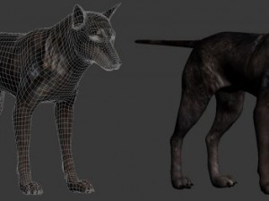 wolf 3D Модель