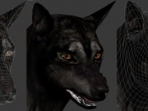 wolf 3D Модель